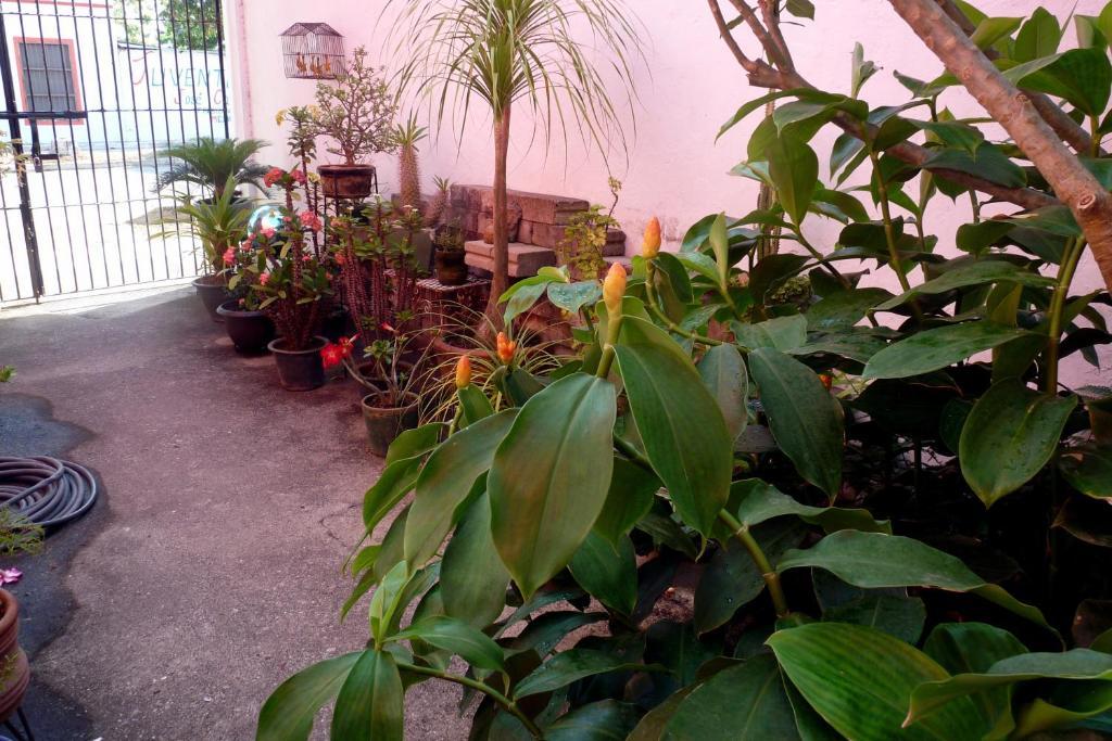 Casa De La Luz - Studio Apartment Tlacotalpan Quarto foto